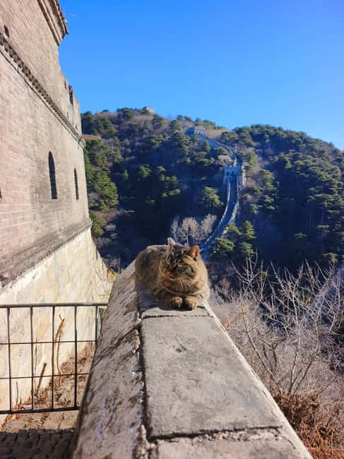 Mutianyu Great Wall Private Tour with English Driver - Who should choose this Mutianyu tour?