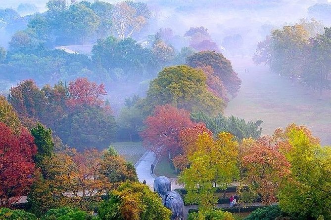 Nanjing City Private Customized Day Tour with Lunch - Starting At Dr. Sun Yat-sen’s Mausoleum