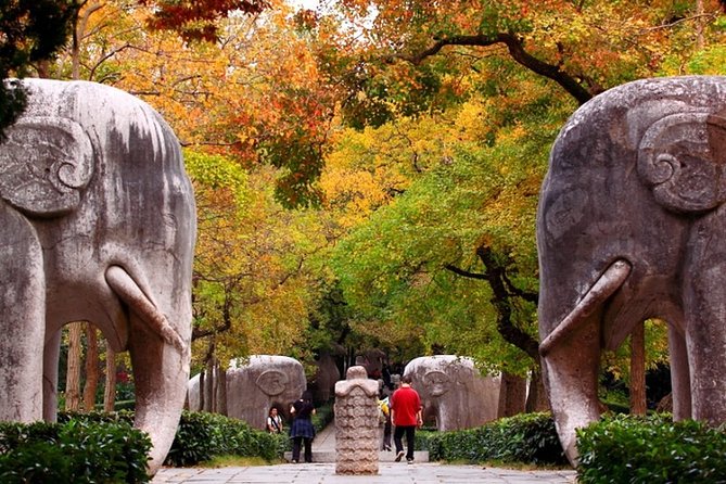 Nanjing Private Flexible Day Tour with Professional Guide and Driver Service - Why a private day makes sense in Nanjing