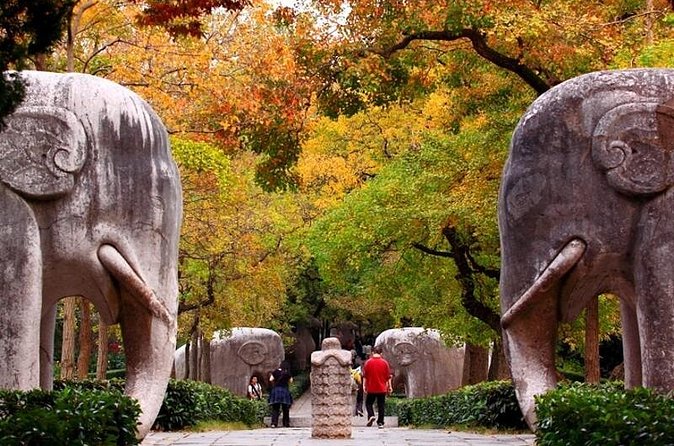 Nanjing Private Flexible Day Tour with Professional Guide and Driver Service - What the guide and driver add