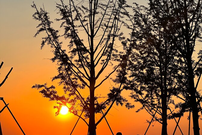 Nanjing Professional and Private Tour Guide Service - Why a private Nanjing day makes sense