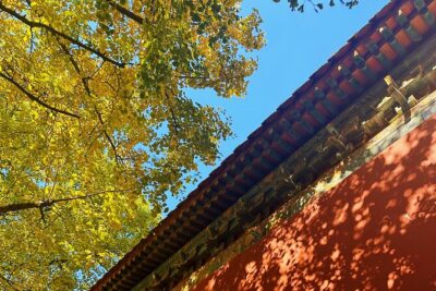 Nanjing Professional and Private Tour Guide Service