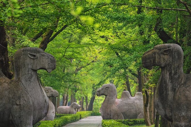 Nanjing Professional and Private Tour Guide Service - The guide can make or break the experience