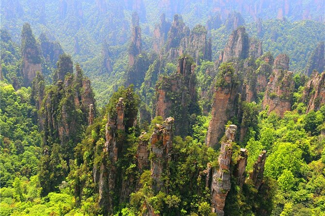 National Forest Park Avatar Mountain Day Tour - The Guide Makes the Difference