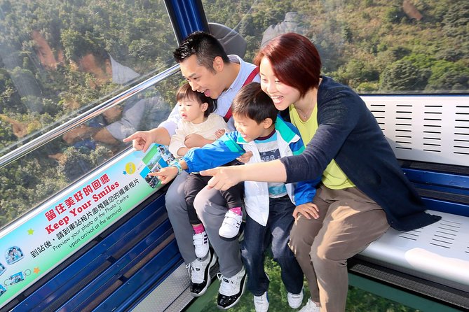 Ngong Ping 360 Cable Car Ticket on Lantau Island - From Tung Chung to Lantau Island by cable car