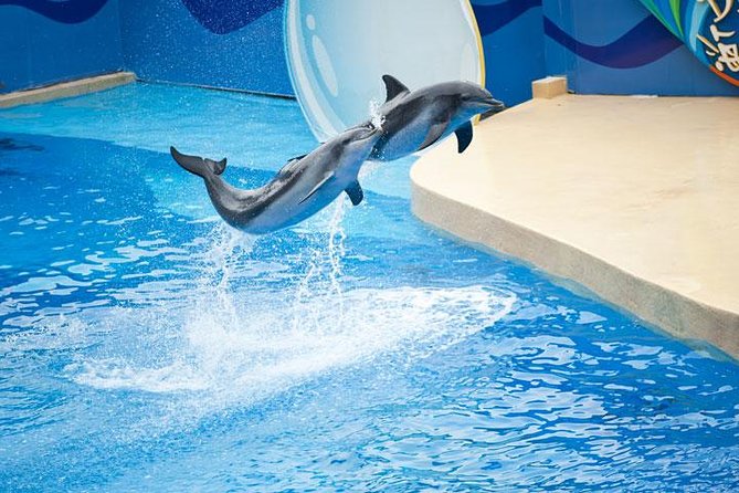 Ocean Park Full-Day Coach Tour with Hotel Pickup in Kowloon Area from Hong Kong - The morning pickup and coach ride