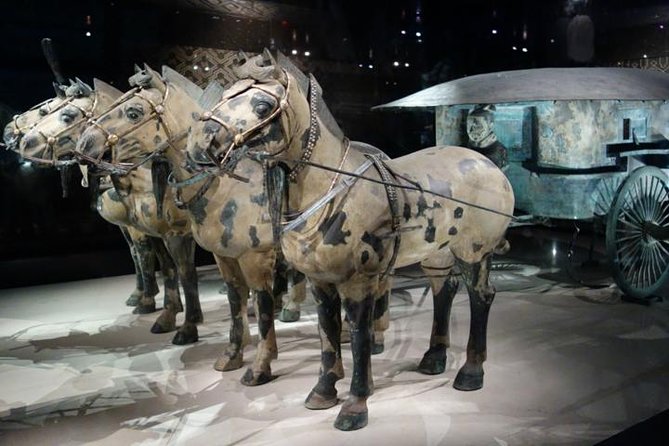 One Day Chengdu Xian Tour by Bullet Train - The early Chengdu pickup and train connection