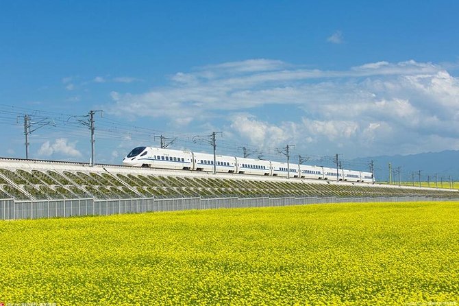 One Day Chengdu Xian Tour by Bullet Train - Meeting your Xi’an guide at the station