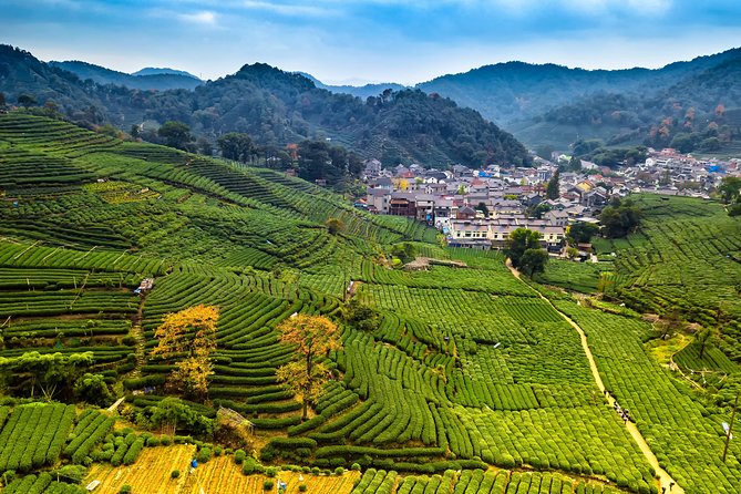 One-Day Hangzhou Dragon Well Tea Culture & West Lake Private Tour - Why this Hangzhou day makes sense