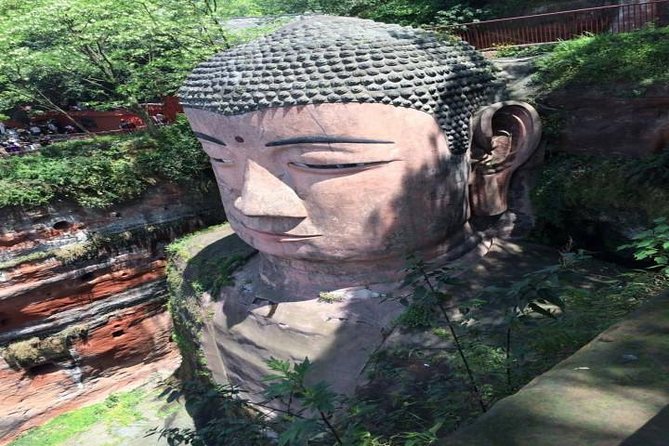 One Day Trip to Chengdu Panda Base and Leshan Buddha Tour - An early start at Chengdu Panda Base