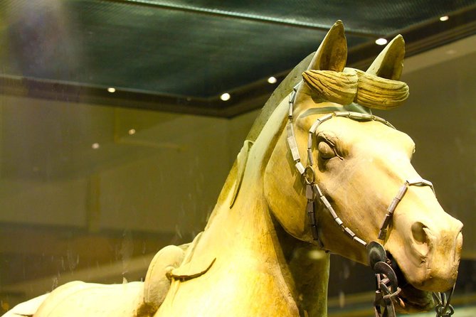One Day Xian Private Tour: Warriors, City Wall, Everbright City - The Beijing flight question and the real price