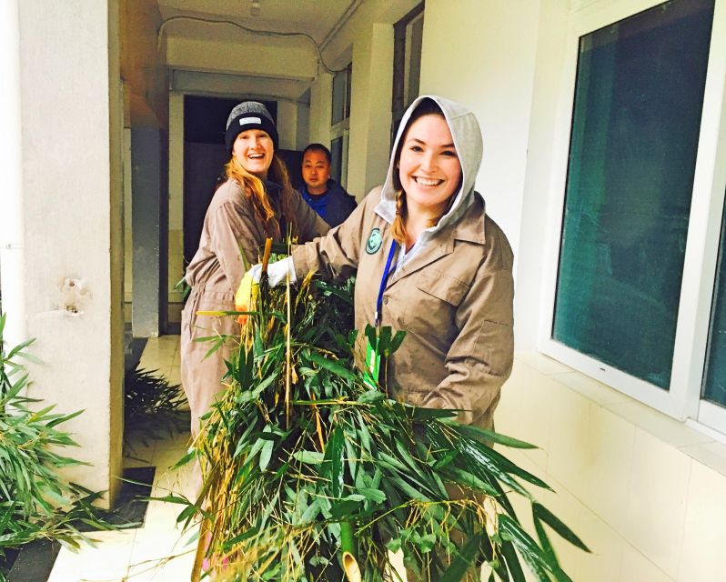 Panda Volunteer Project Day Trip(Wolong/Du Jiang Yan) - Key points at a glance