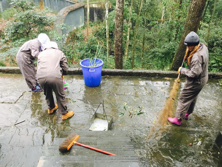 Panda Volunteer Project Day Trip(Wolong/Du Jiang Yan) - Lunch at the panda base