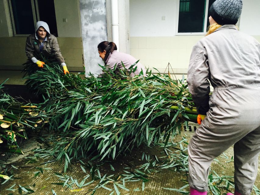 Panda Volunteer Project Day Trip(Wolong/Du Jiang Yan) - The real cost of the $115 price