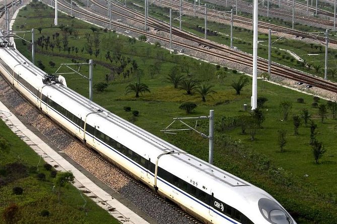 Private Arrival Transfer from Hongqiao Railway Station to Shanghai City - The private vehicle and group setup