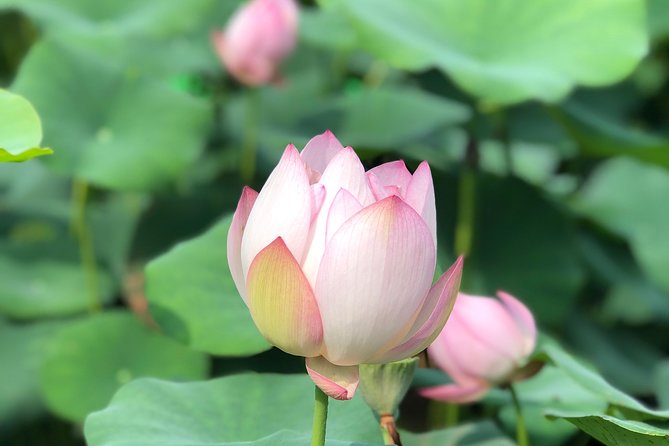 Private Customized Macau Day Tour from Hong Kong - A-Ma Temple and the Portuguese beginning