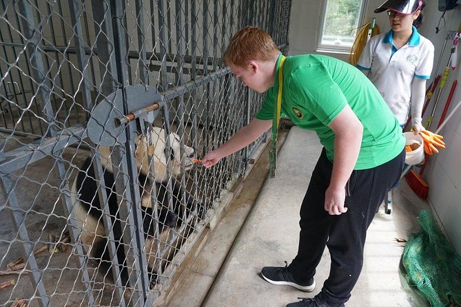 Private Day Tour: Dujiangyan Panda Base Volunteering from Chengdu - What this panda day actually offers