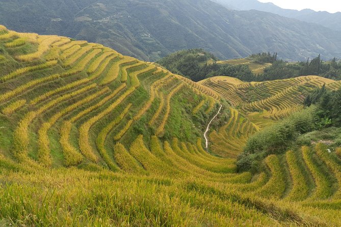 Private Day Tour: Longji Rice Terraces and Long Hair Village - Why Longji works well as a day trip from Guilin