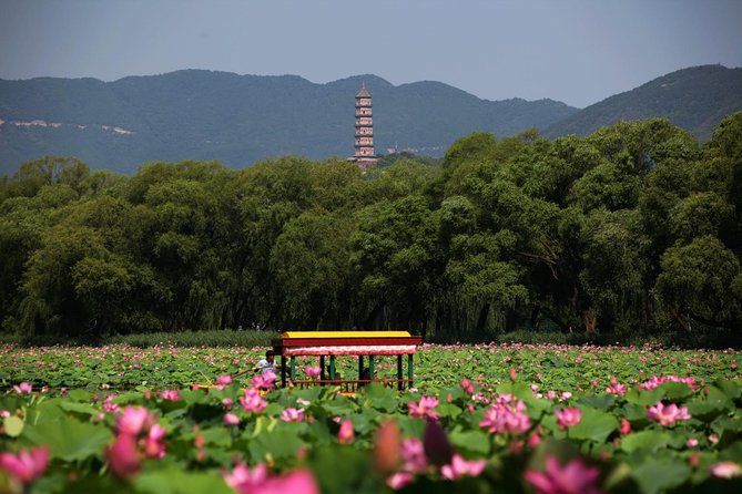 Private Day Tour: Summer Palace and Old Summer Palace in Beijing - Hall of Happiness and Longevity