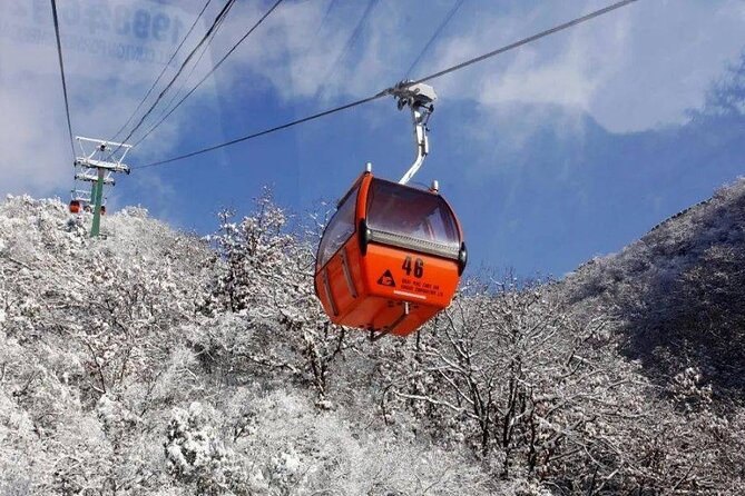 Private Day Tour to Beijing Mutianyu Great Wall - Cable car, chairlift, or toboggan?