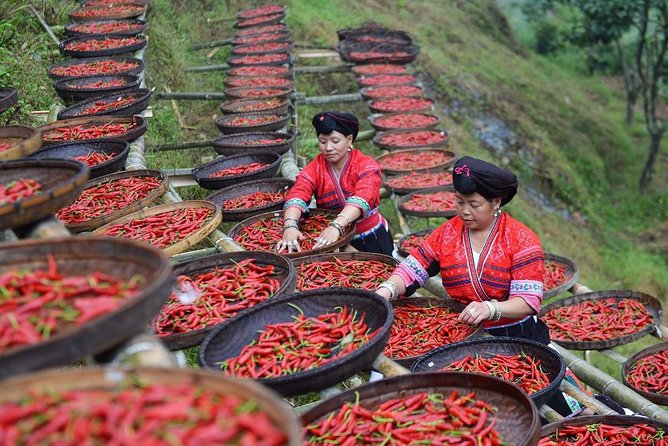 Private Day Tour to Longji Rice Terraces and Long Hair Village from Guilin - Lunch with mountain ingredients and Guilin flavors