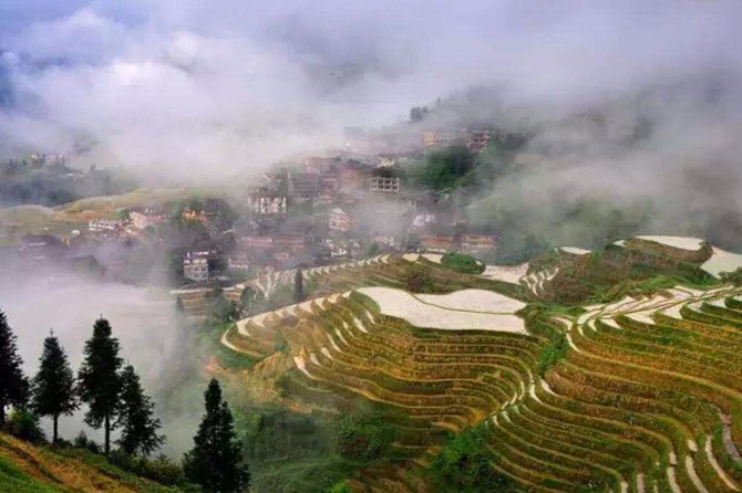 Private Day Tour to Longji Rice Terraces and Long Hair Village from Guilin - What the private format is really worth