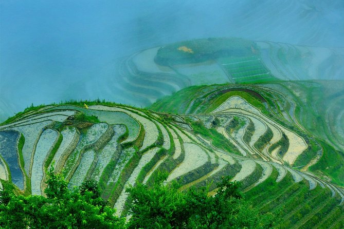 Private Day Tour to Longji Rice Terraces and Long Hair Village from Guilin - Should you book this private Longji tour?