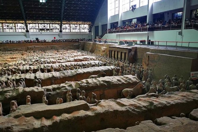 Private Day Tour:Xi'an Panda（QI ZAI） and Terracotta Warriors Museum - Practical points that affect your day