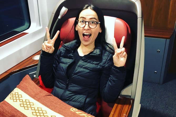 Private Day Trip to Terracotta Army from Beijing by Bullet Train - Meeting your Xian guide at North Station