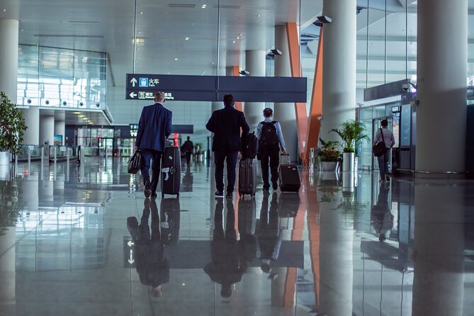 Private Departure Transfer: Hotel to Beijing Airport (PEK/PKX) - Vehicle choices for one to ten people