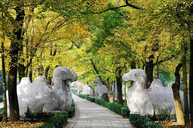 Private Flexible Nanjing City Day Trip from Shanghai by Bullet Train - Zhonghua Gate, where Nanjing’s defenses become the story