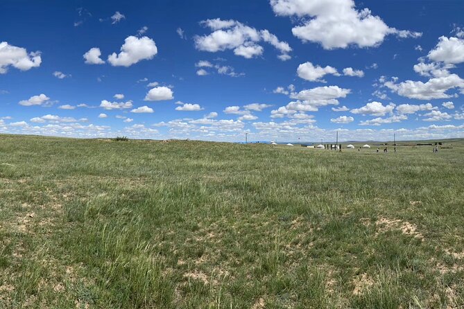 Private Full-Day Tour to Huitengxile Grassland from Hohhot - Four hours among yurts and grazing animals