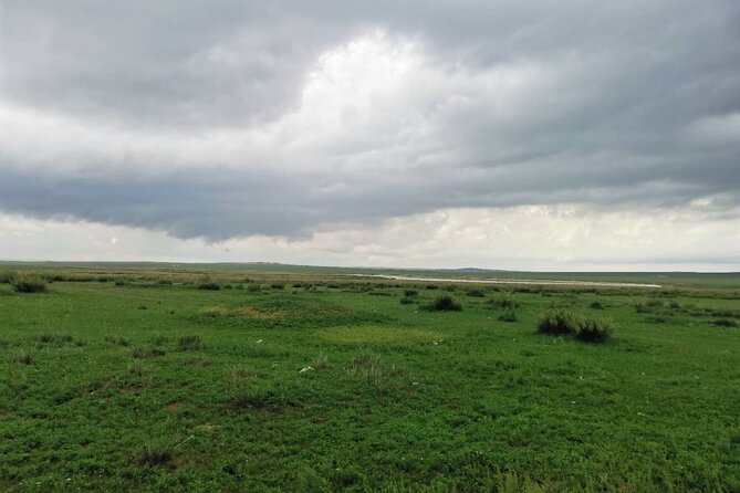 Private Full-Day Tour to Huitengxile Grassland from Hohhot - What the $239 price really covers