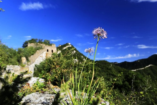 Private Great Wall Hiking from Jiankou to Mutianyu - Why Jiankou is worth the effort