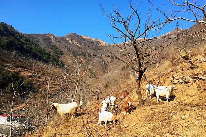 Private Great Wall Hiking Tour: Across The Border of 3 China Provinces - Who should book this hike?