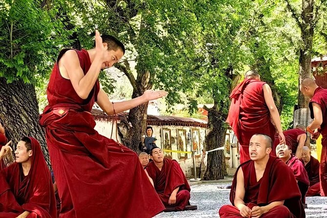 Private Guided Day Tour Potala Palace and Sera Monastery - What the praise tells you about service quality