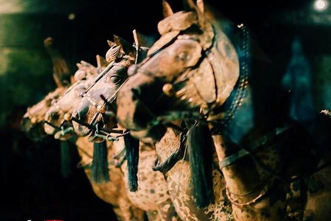 Private Half-Day Tour of Xi'an Terracotta Warriors - Who should book this Xi’an experience?