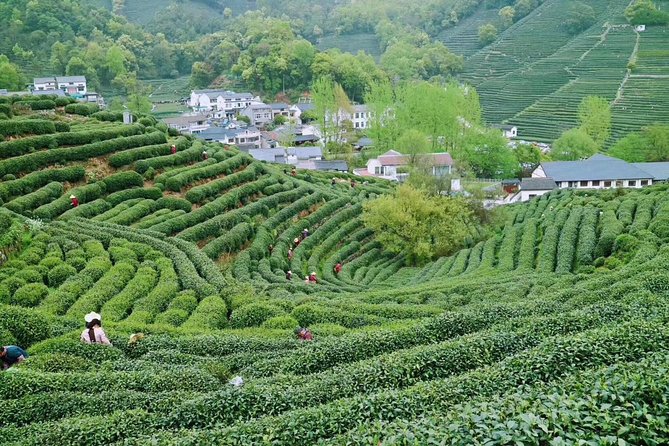 Private Hangzhou Day Tour from Shanghai by Bullet Train - Why Hangzhou works as a day trip from Shanghai
