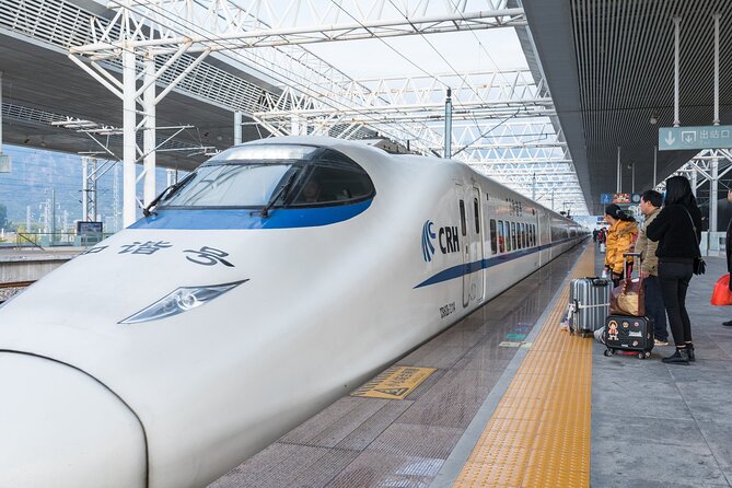 Private High-speed Train Arrival Transfer: Xi'an Bei (North) Station to Hotel - Why Xi’an North Station is easier with a pickup