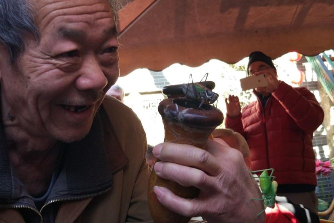 Private Hutong Culture Tour with Dumpling Cooking Class plus Cricket Fighting Game - Why this six-hour Beijing day works