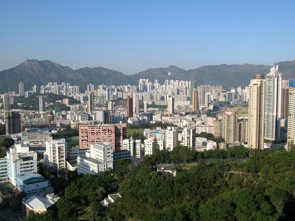 Private Kowloon Michelin Rated Street Food & Culture Tour - Key points to know before booking