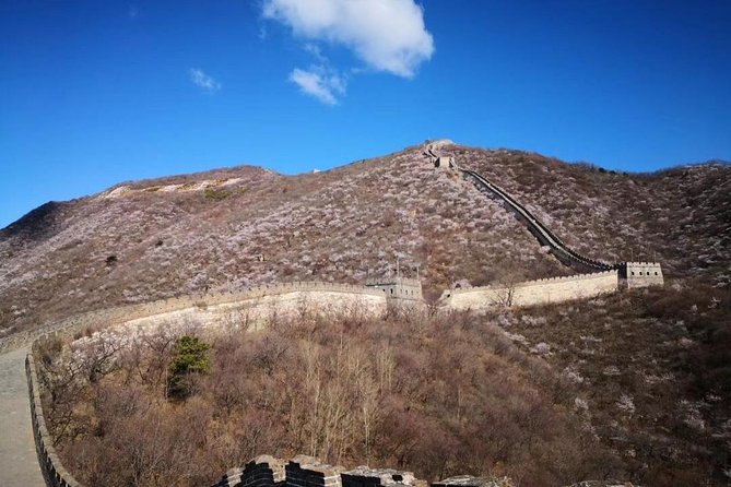 Private Layover Tour to Mutianyu Great Wall and Forbidden City - Entering the Forbidden City