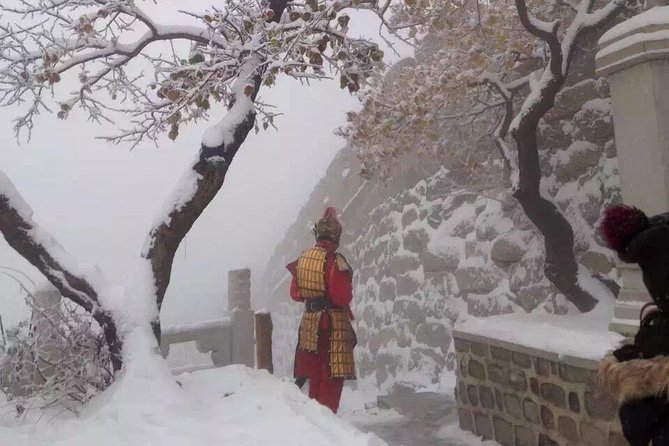Private Mutianyu Great Wall Day Tour include Chairlift & Toboggan - Who gets the best value from $196?