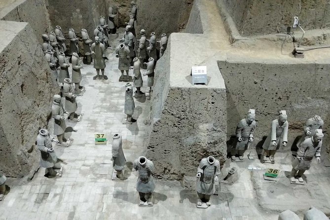 Private Tour: Customize Your Day in Xi'an - What the private guide adds