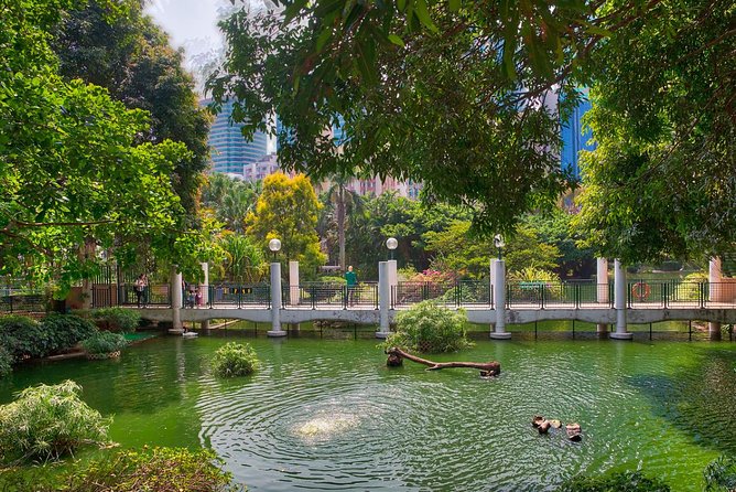 Private Tour: Customized 6-Hour Hong Kong City Tour - Cat Street and Sheung Wan reveal an older working city