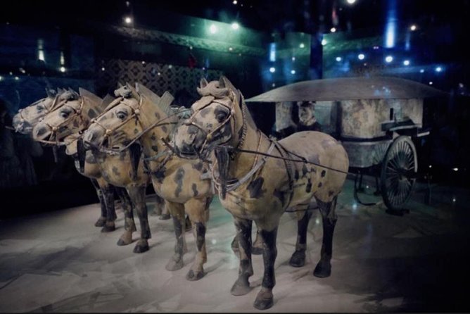 Private Tour Guide or Transfer for Terracotta Warriors and Xi'an - Xi’an City Wall for broad city views