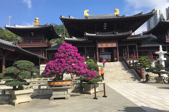 Private tour - Hong Kong's major sites and history - Five things to know before booking