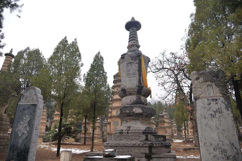 Private Tour: Longmen Grottoes, Shaolin Temple & Kungfu Show - Lunch and the Shaolin kung fu show