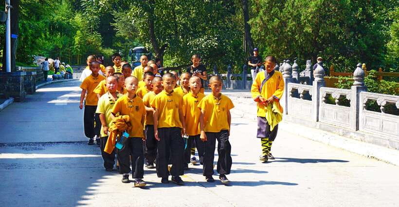 Private Tour: Longmen Grottoes, Shaolin Temple & Kungfu Show - Starting from Xi’an, Luoyang, or Zhengzhou