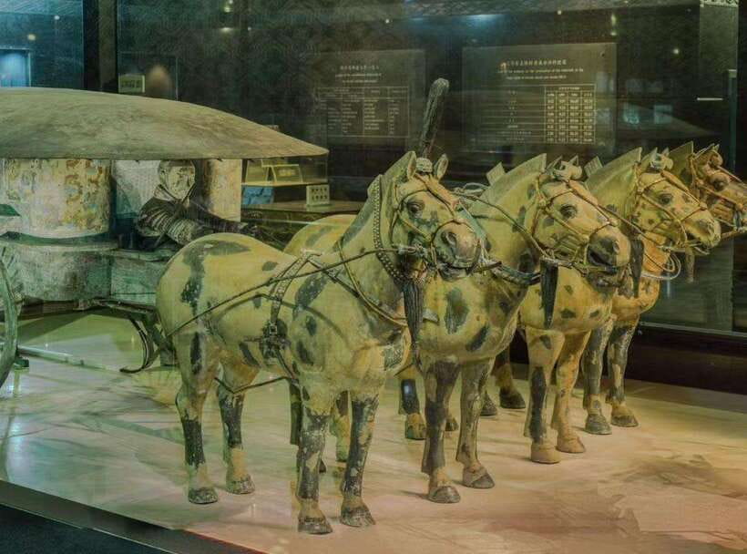 Private Tour of Terracotta Army & Tomb of First Emperor - The EV cart and the walking question